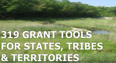 319 grant tools for states tribes and territories