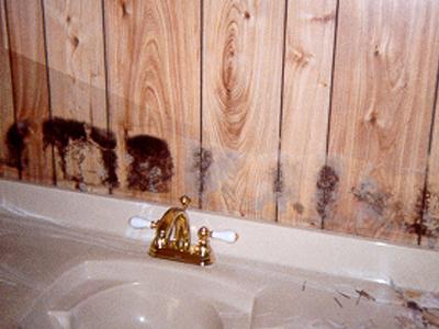 Plumbing leak inside wall led to mold on paneling behind mirror above bathroom sink.