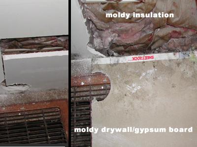 Opening a wall with a utility knife to minimize disturbance to mold in the wall cavity.