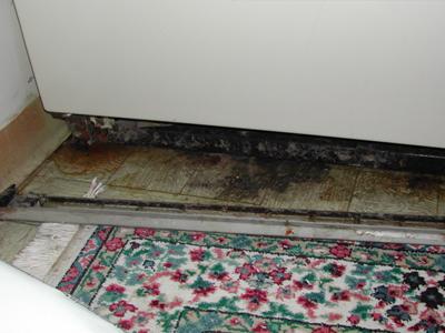 Mold (and dirt) beneath refrigerator due to chronic drip-pan overflows.