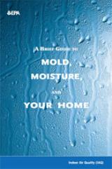 A picture of the Mold guide PDF document