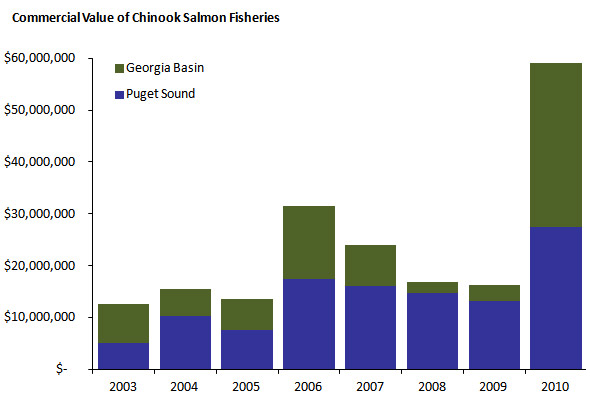 Chinook: How to Increase Your Catch Rate