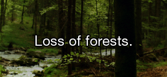 Loss of forests.