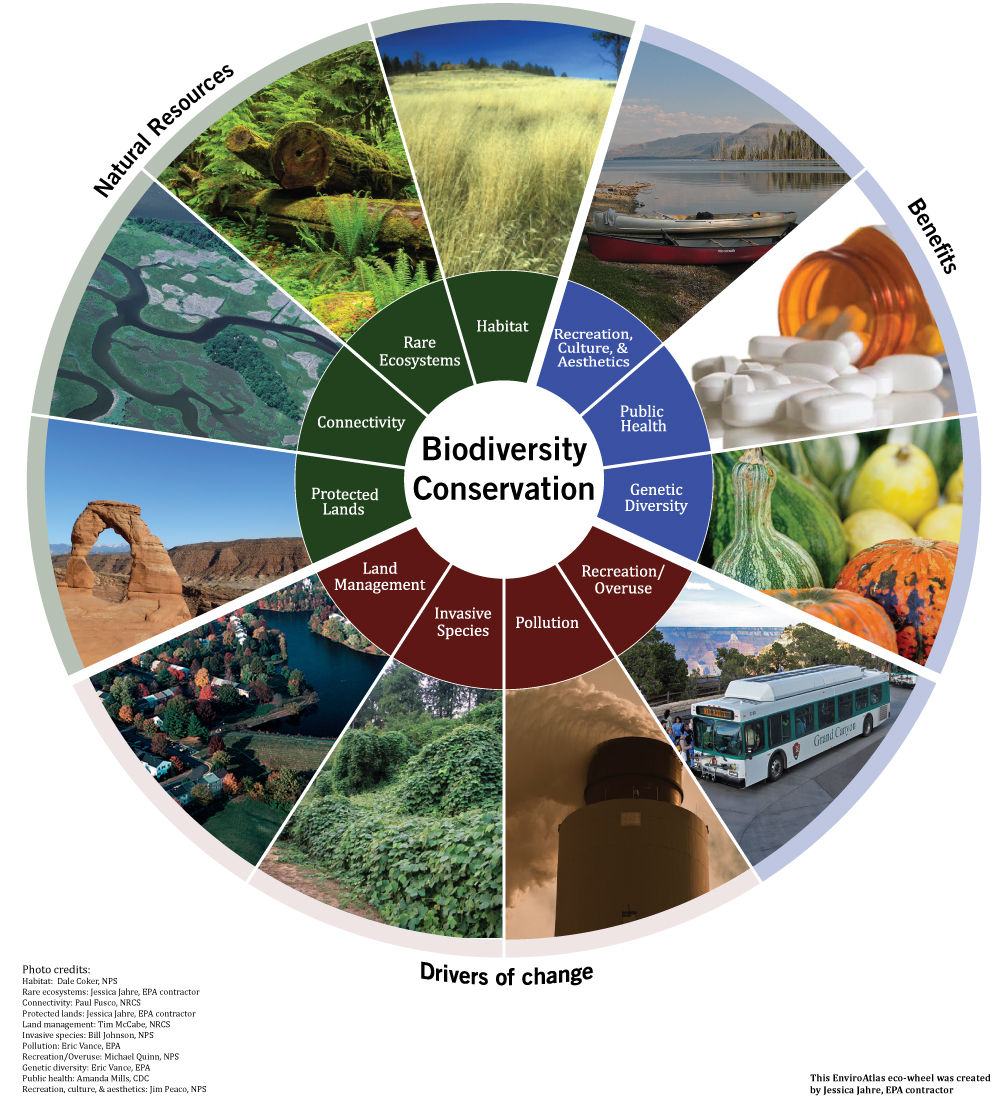 Enviroatlas Benefit Category Biodiversity Conservation Enviroatlas