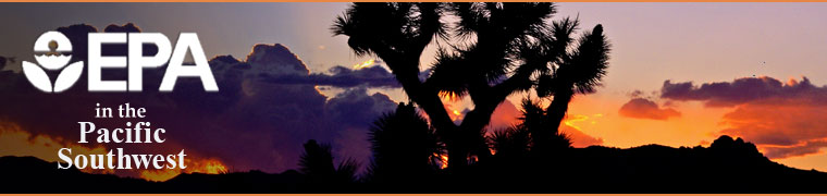 Joshua Tree's with an orange/purple sunset.