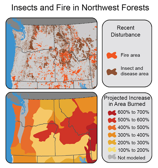 Climate Impacts In The Northwest Climate Change Impacts Us Epa