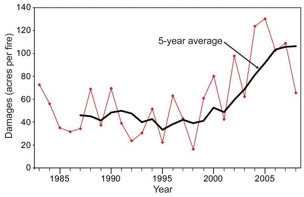 deciduous forest climate and weather