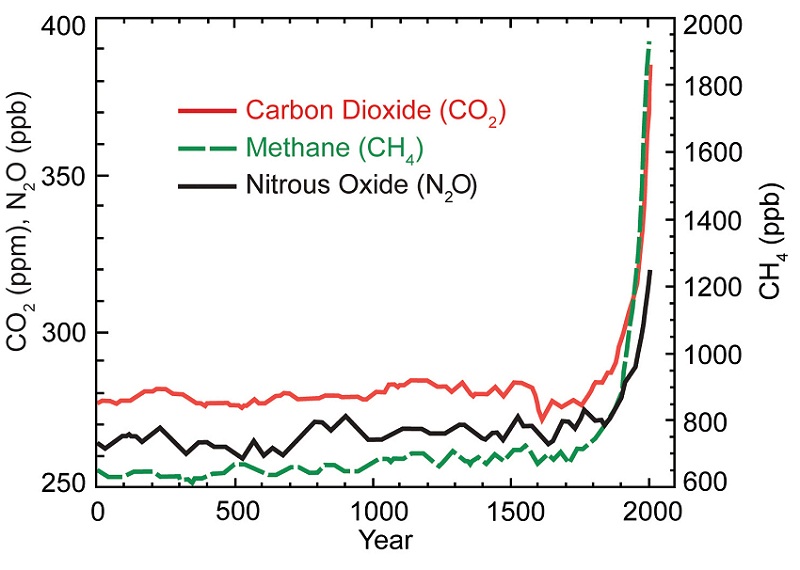 Acceleration of global N2O emissions seen from two decades of