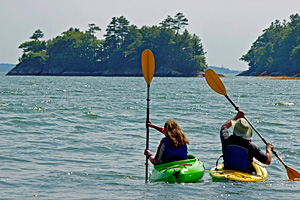 Two kayakers in an estuary.