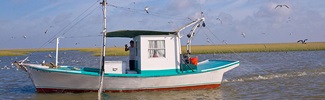A man standing on a small white and green fishing boat