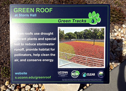 Green Roof Sign UConn