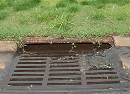 Runoff picking up pollutants and flowing into street drain