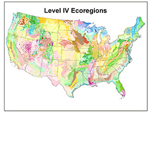 Level IV Ecoregions