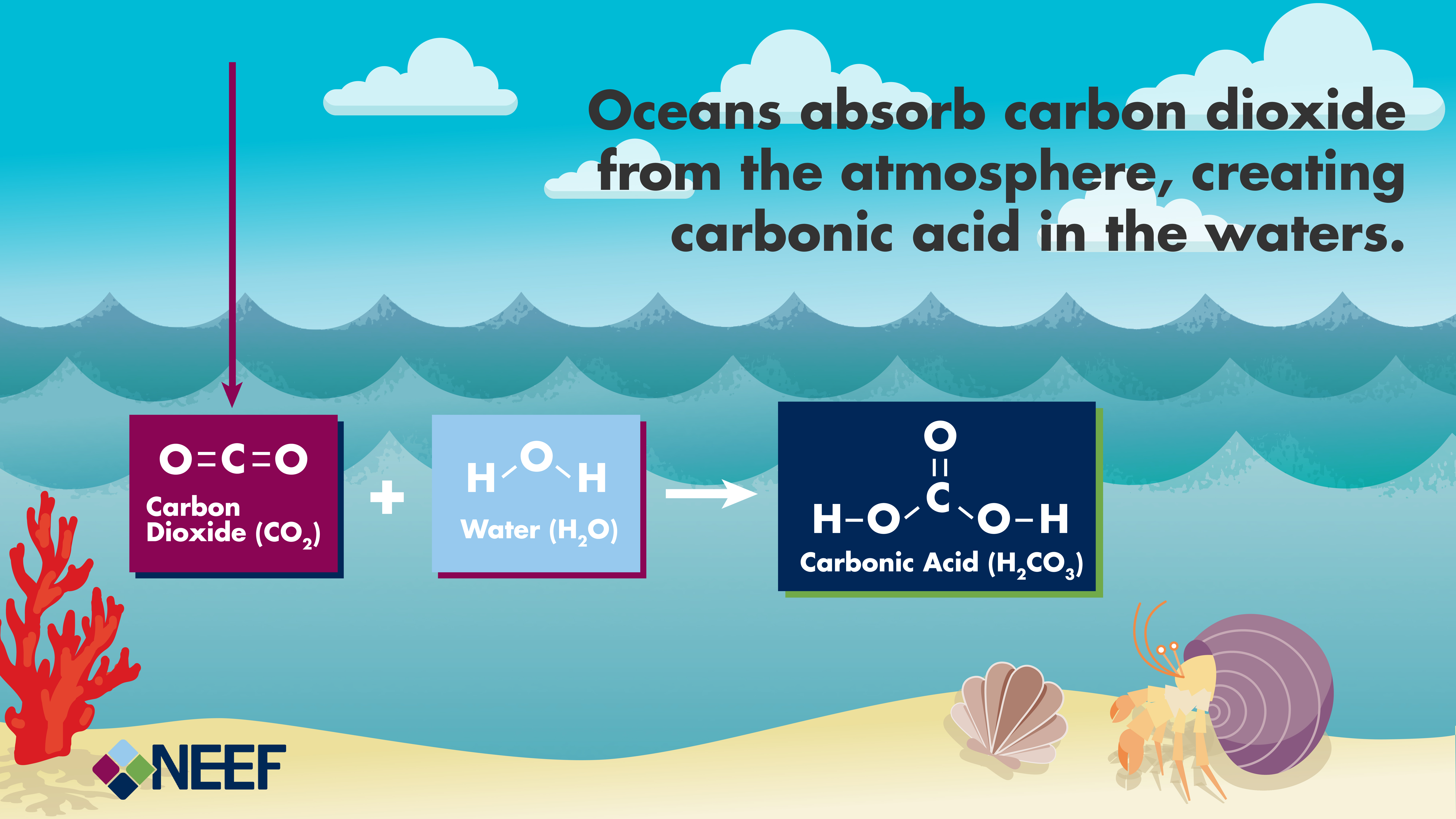 Understanding the Science of Ocean and Coastal Acidification | Ocean Why Is Carbon Dioxide Added To Pool Water