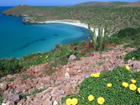 Baja California coastline