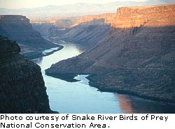 Snake River gorge photographed later in the day.