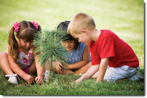 three children sitting in the grass looking at a baby pine tree