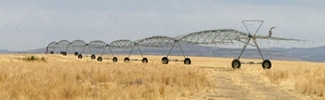 image of dry agriculture field
