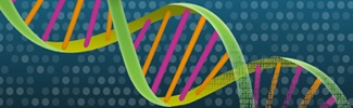 Image shows a strand of DNA, rendered in green, pink and orange colors