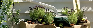 Rain barrels surrounded by stacked planters