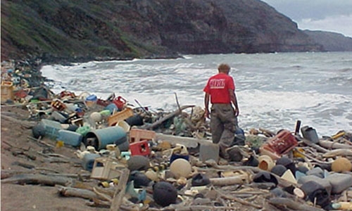 Man walking on trash filled beach collecting garbage - Photo credit: NOAA