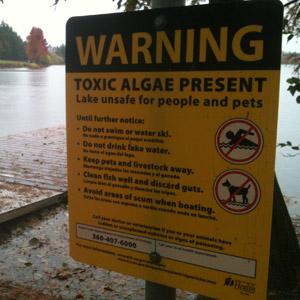Photograph of a sign warning of the presence of toxic algae in a freshwater lake
