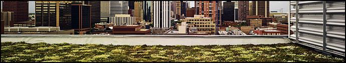 Image of Region 8 headquarter's green roof