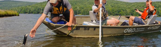 Collecting and Assessing Aquatic Plants in Hulls Lake in West Virginia