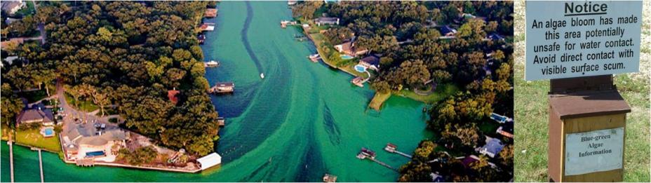 Photos of harmful algal toxins