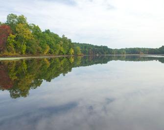 lake surrounded by trees