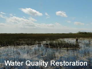 Water Quality Restoration