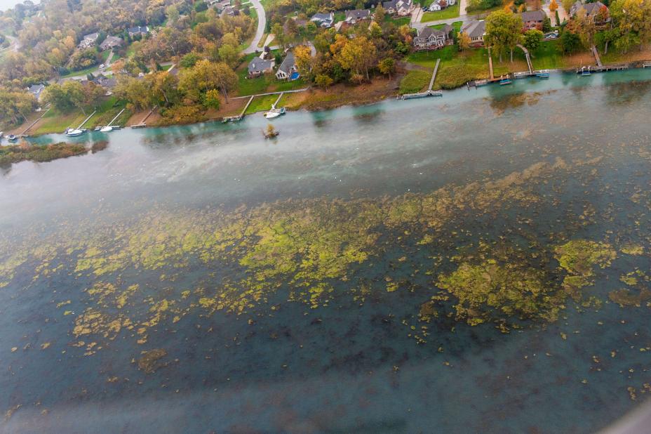 Algae in Great Lakes watershed