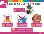 Poster 3 Pests
