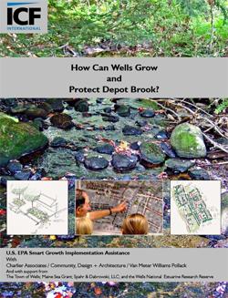 How Can Wells Grow and Protect Depot Brook?