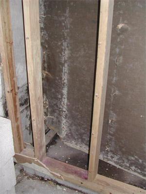 Mold inside a wall cavity.