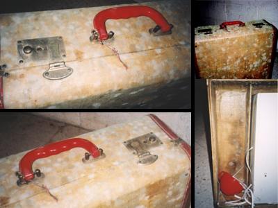 Mold growing on a suitcase stored in a humid basement.