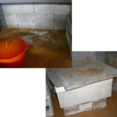 Mold growth on fiberboard shelf (left) and on cardboard boxes