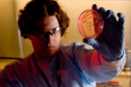 EPA researcher inspects petri dish