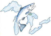 Great Lakes Consortium for Fish Consumption Advisories