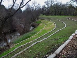 Napa River, Rutherford Reach after construction: laying back eroding bank