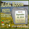 Algal Bloom Photo Contest