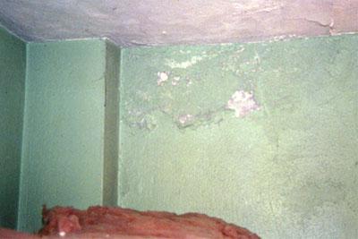 Bedroom Corner growing mold