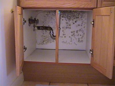 Text Version Of The Mold House Tour, Mold In Kitchen Cabinets Pictures