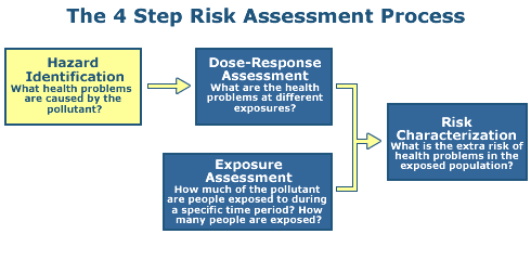 This is a diagram of 4 -step Human Health Risk Assessment Process, highlighting the Hazard Identification (step 1)