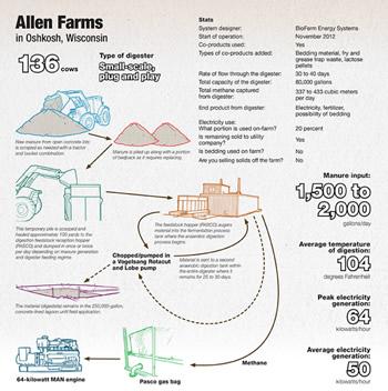 Allen Farms Infographic