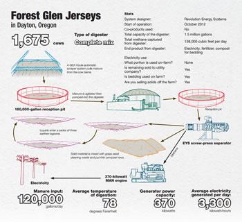 Forest Glen Jerseys Infographic