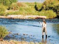 Photo: woman standing in a shallow river and fly fishing 