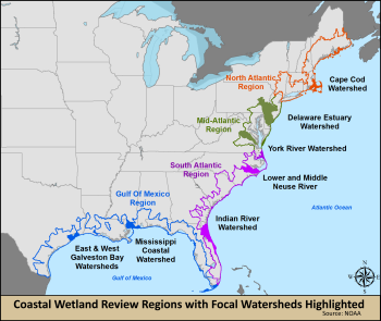 A map of coastal wetland review regions with focal watersheds highlighted