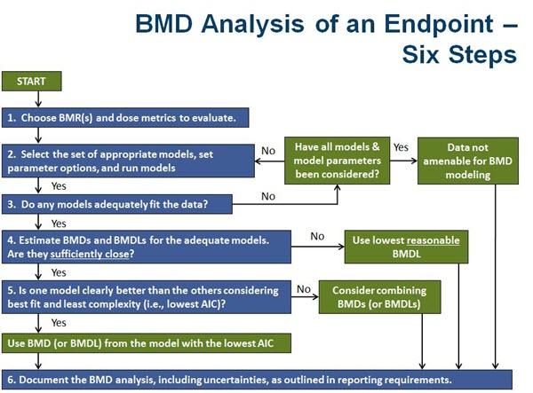 Decision tree detailing BMD analysis of an endpoint