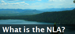 Background on the National Lakes Assessment